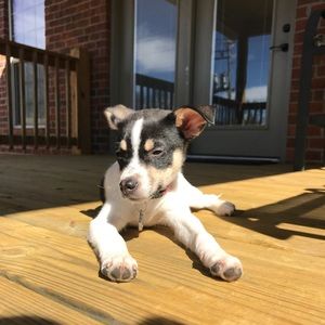 Meet your Posher, Lauren